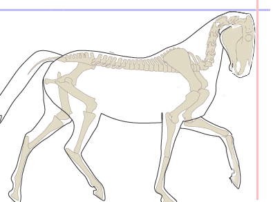 Overbending between the skull and the 1st vertebra of the neck