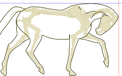 Neck curled severely deep, the face approaching horizontal, back and neck excessively stretched