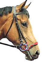 A kineton/puller noseband