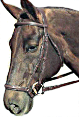 A regular snaffle bridle